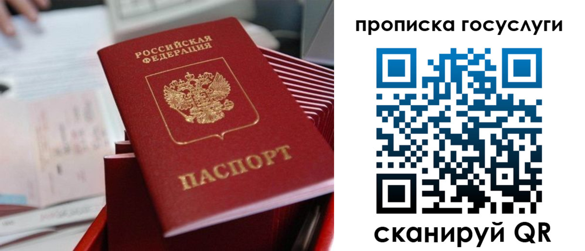 прописка законно в Белово